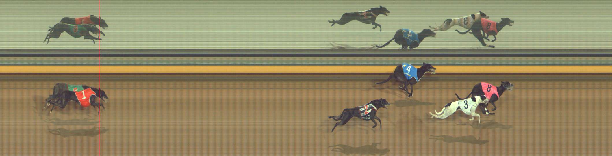 Photo finish for Bendigo Race 8
