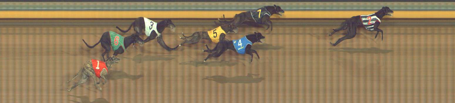 Photo finish for Bendigo Race 9