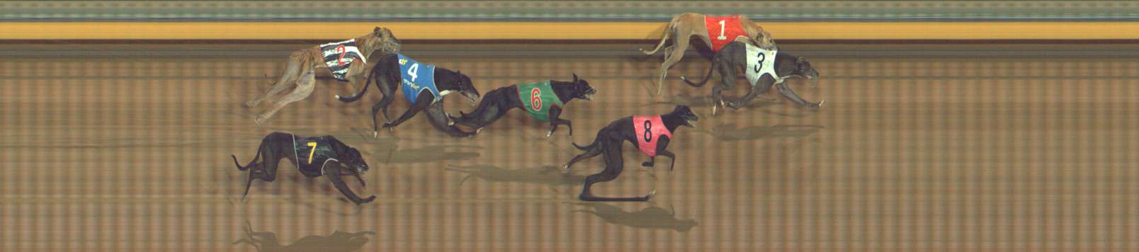 Photo finish for Bendigo Race 10