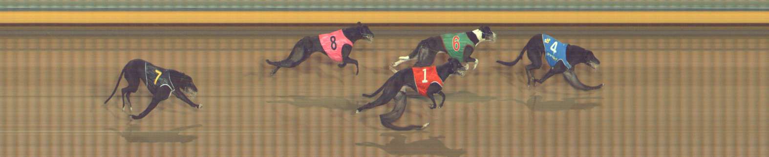 Photo finish for Bendigo Race 11