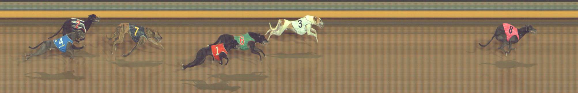 Photo finish for Bendigo Race 12