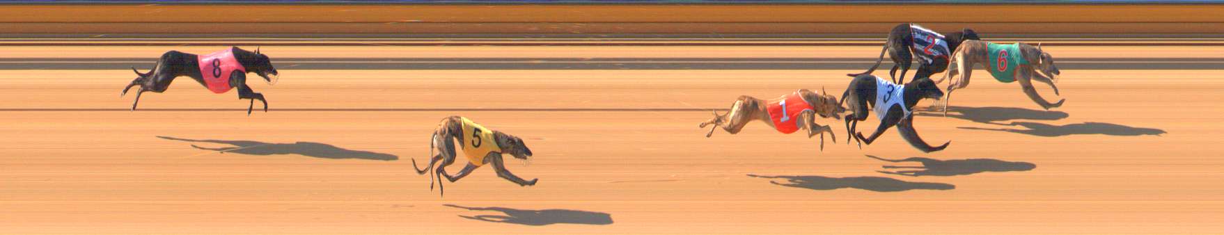 Photo finish for Bendigo Race 2