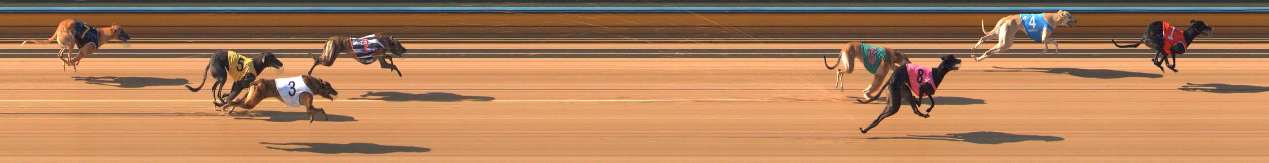 Photo finish for Bendigo Race 3