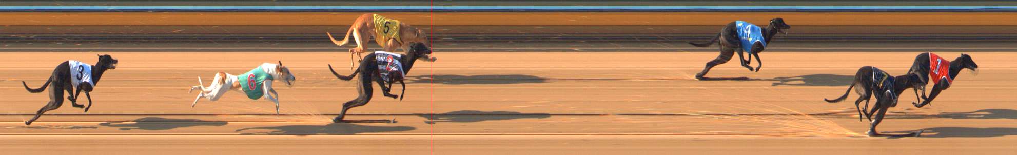 Photo finish for Bendigo Race 5