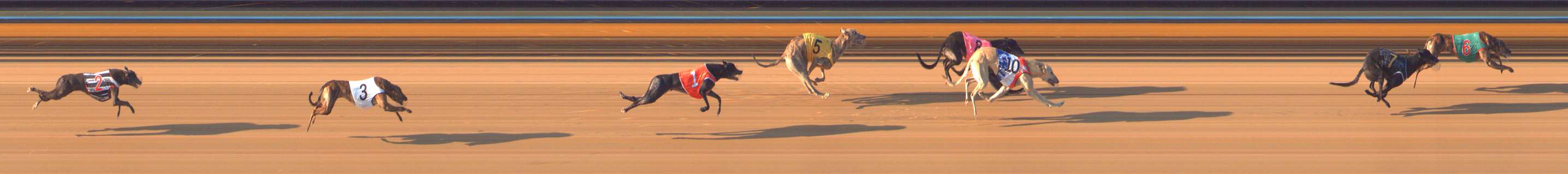 Photo finish for Bendigo Race 6