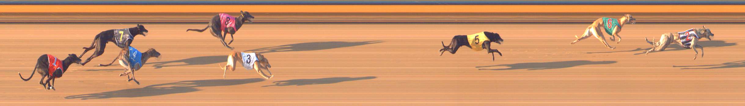 Photo finish for Bendigo Race 7