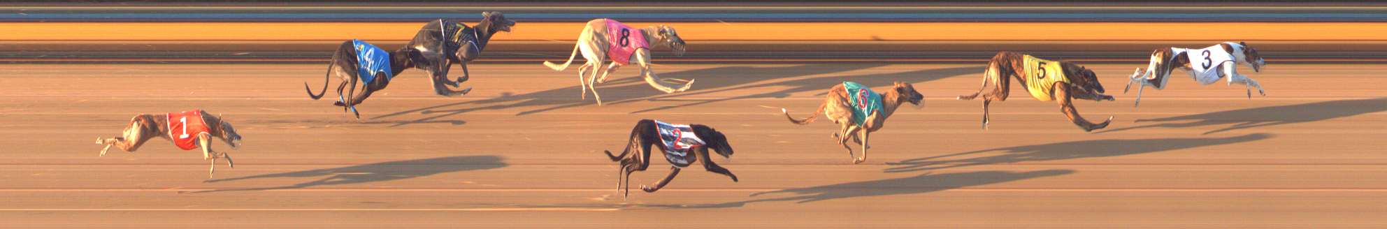 Photo finish for Bendigo Race 8