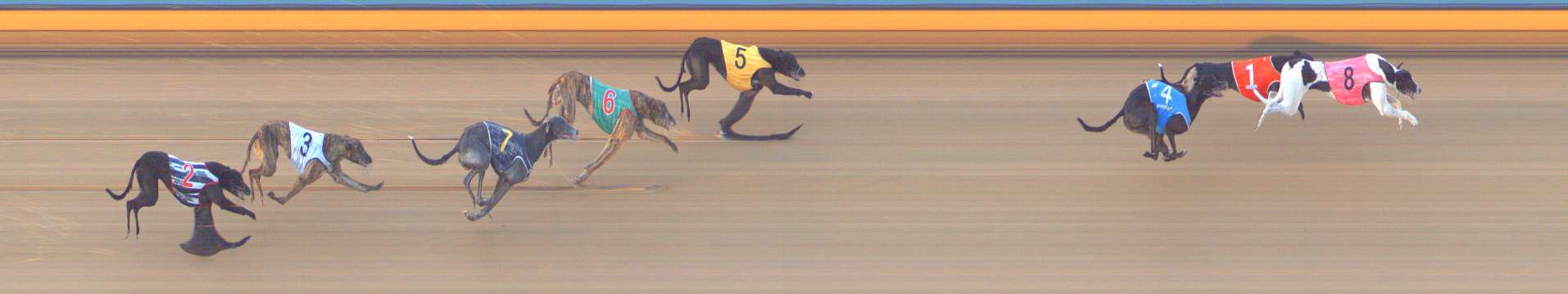 Photo finish for Bendigo Race 9