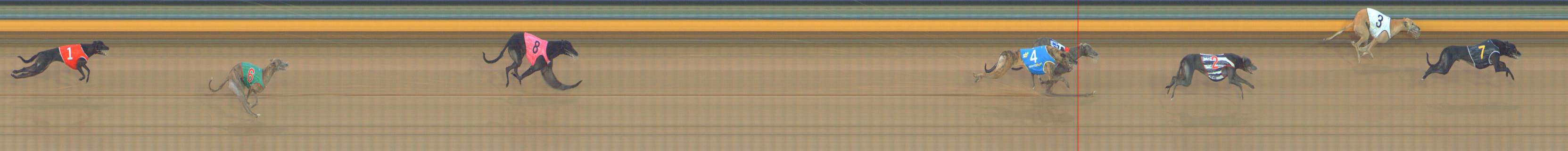 Photo finish for Bendigo Race 10