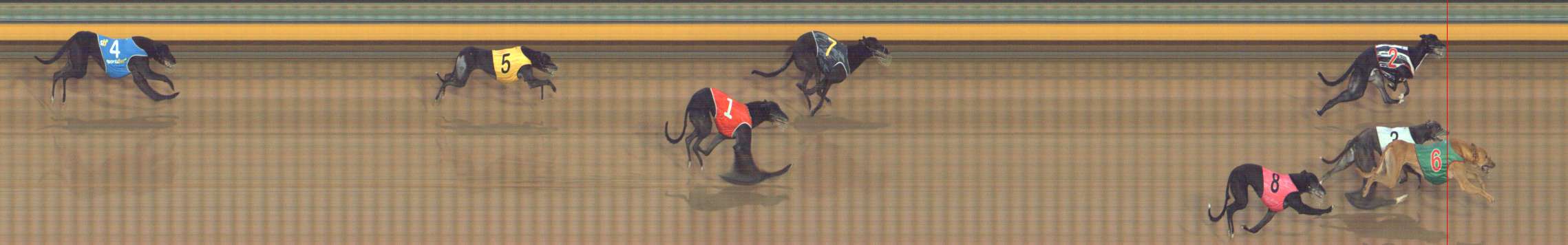 Photo finish for Bendigo Race 11