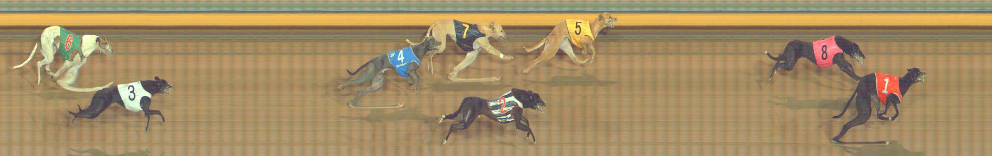 Photo finish for Bendigo Race 12