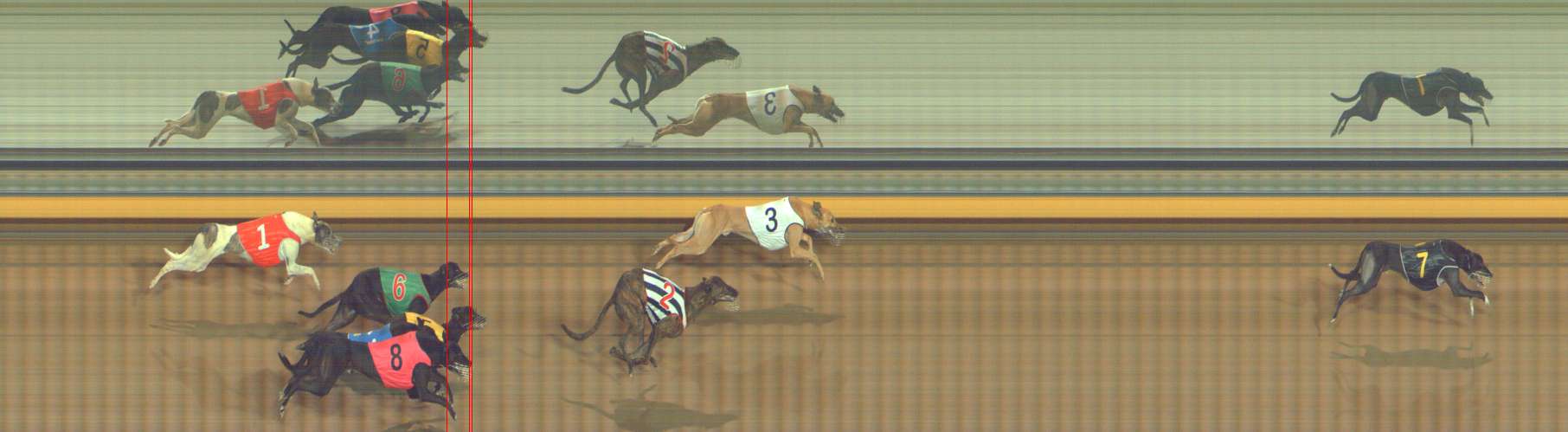 Photo finish for Bendigo Race 13