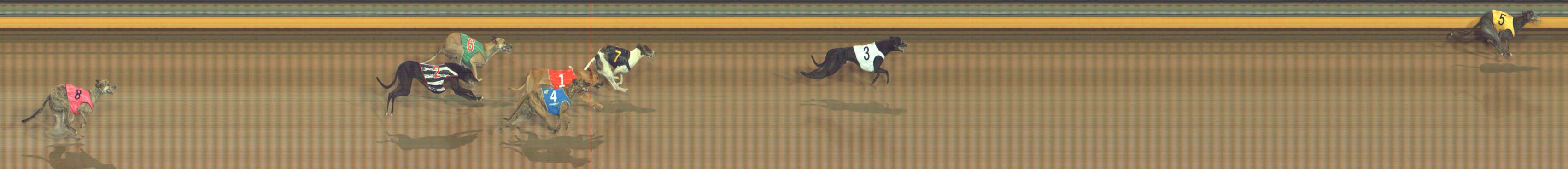 Photo finish for Bendigo Race 2