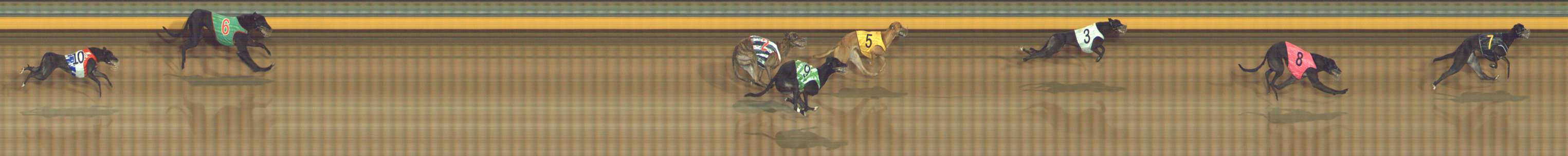 Photo finish for Bendigo Race 4