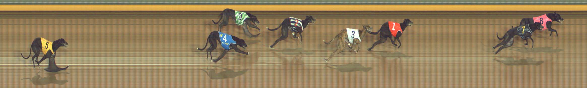 Photo finish for Bendigo Race 5