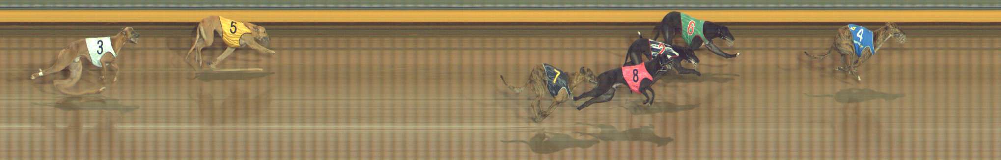 Photo finish for Bendigo Race 6