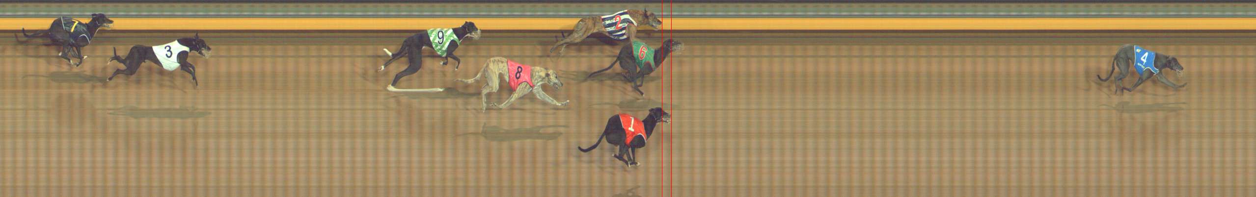 Photo finish for Bendigo Race 10