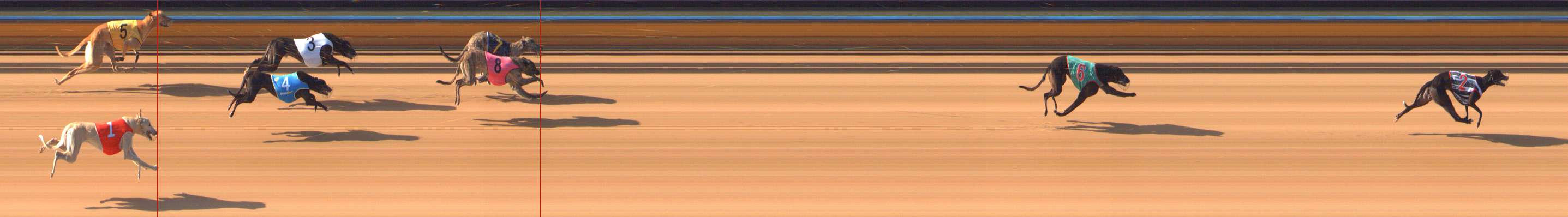 Photo finish for Bendigo Race 1
