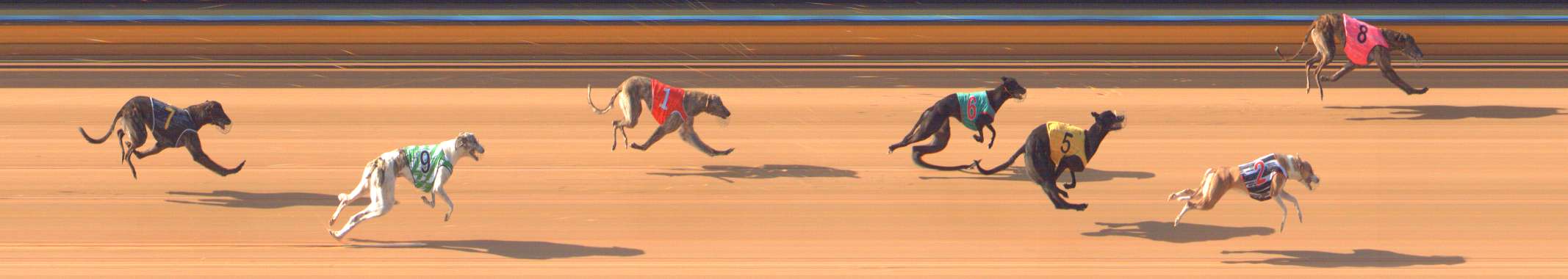 Photo finish for Bendigo Race 2