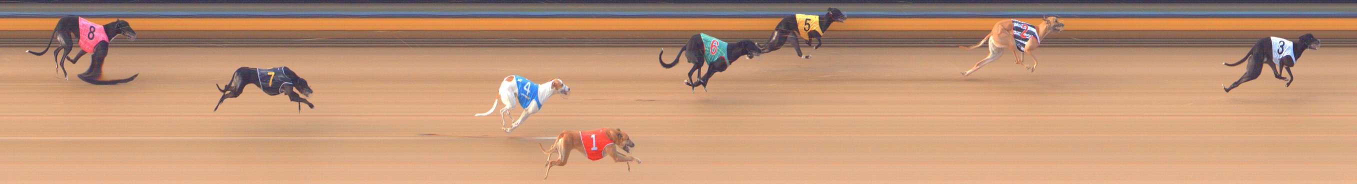 Photo finish for Bendigo Race 3