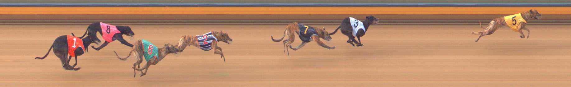 Photo finish for Bendigo Race 5