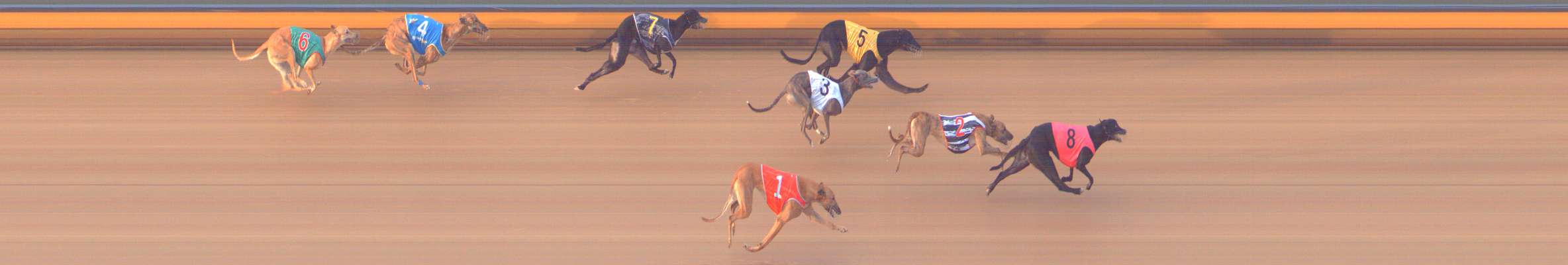 Photo finish for Bendigo Race 8