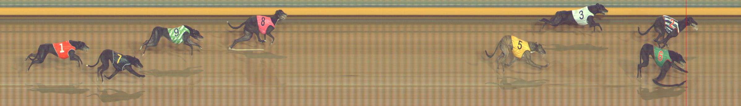 Photo finish for Bendigo Race 13