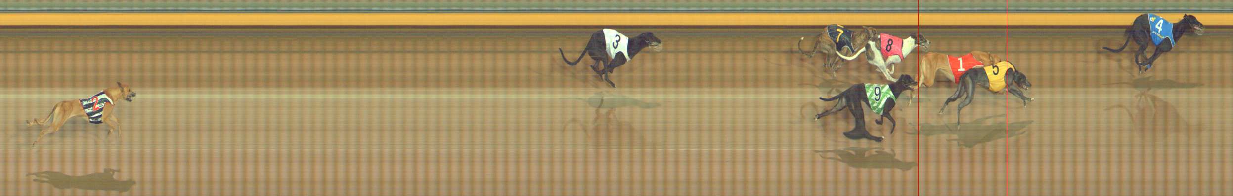 Photo finish for Bendigo Race 1