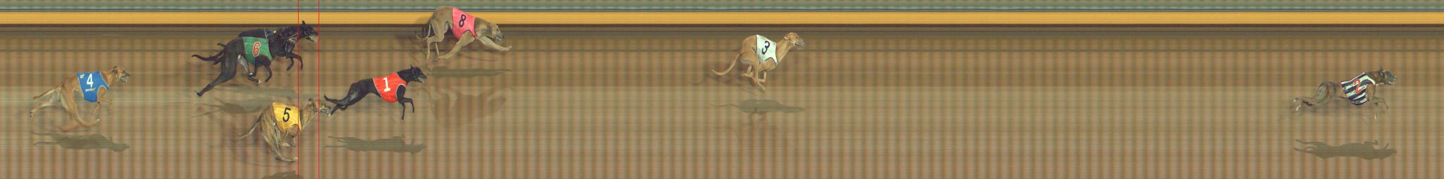Photo finish for Bendigo Race 2