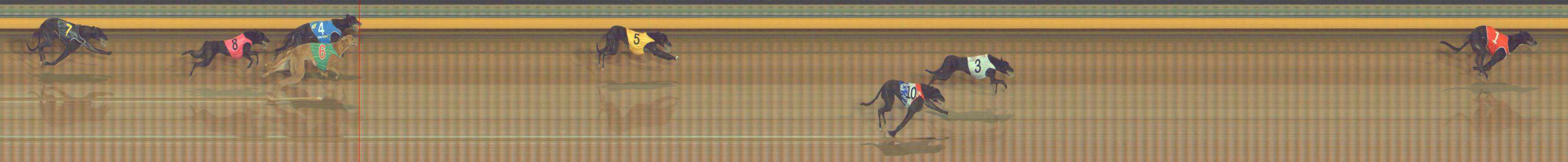 Photo finish for Bendigo Race 3