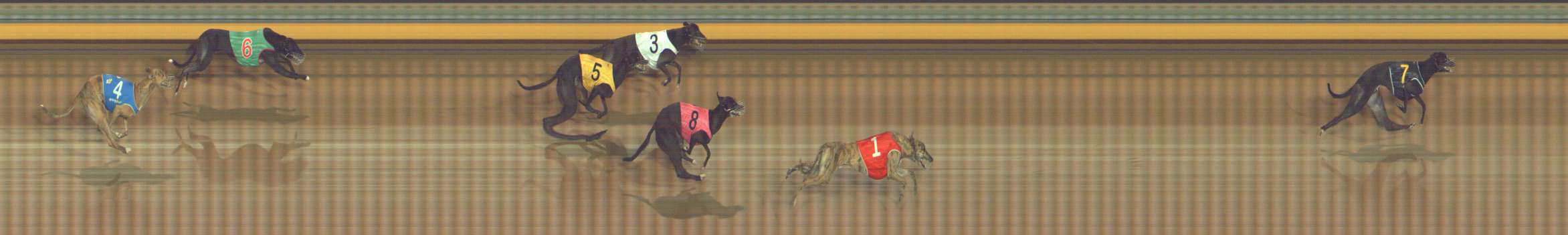 Photo finish for Bendigo Race 4