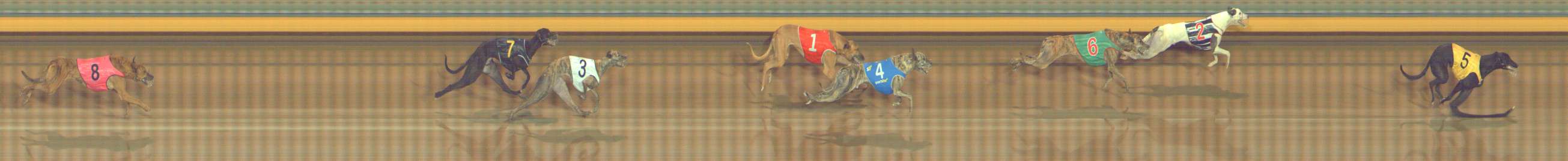 Photo finish for Bendigo Race 5