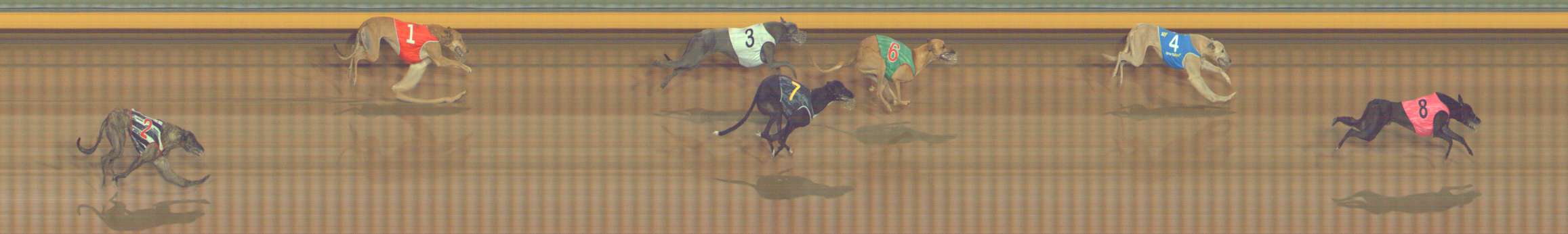 Photo finish for Bendigo Race 8