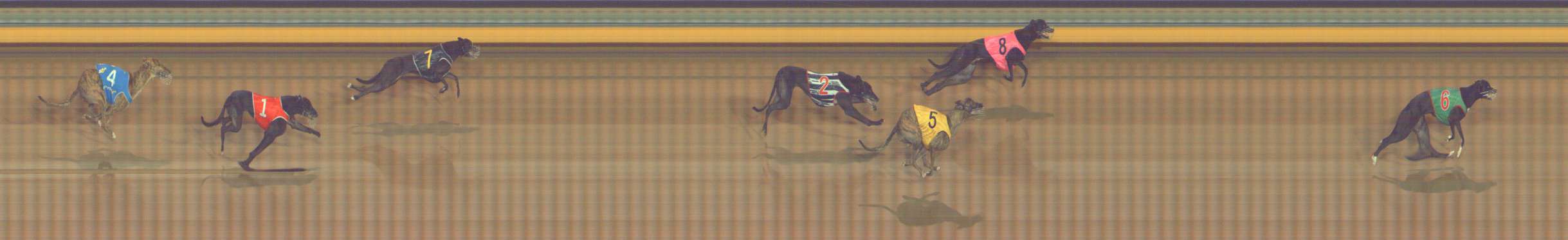 Photo finish for Bendigo Race 9
