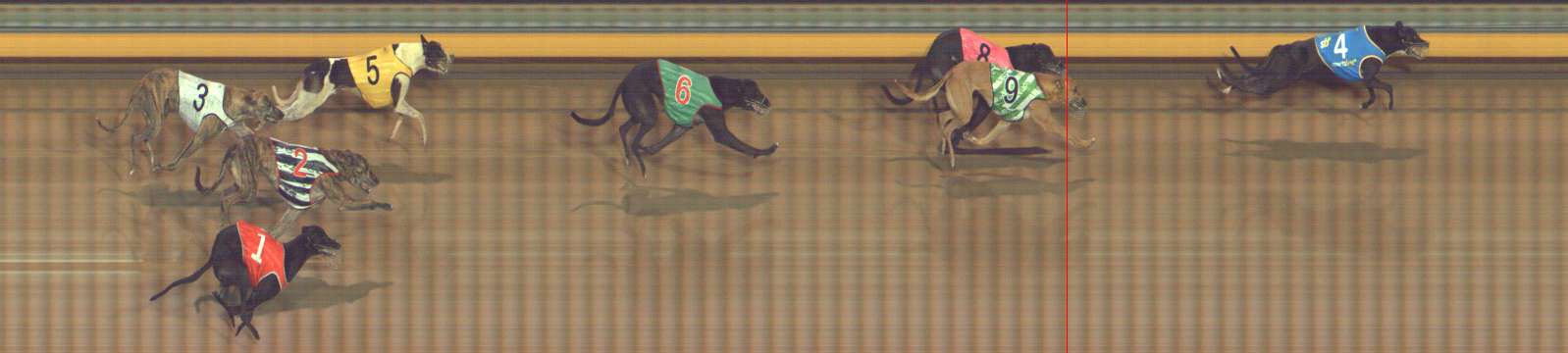 Photo finish for Bendigo Race 11