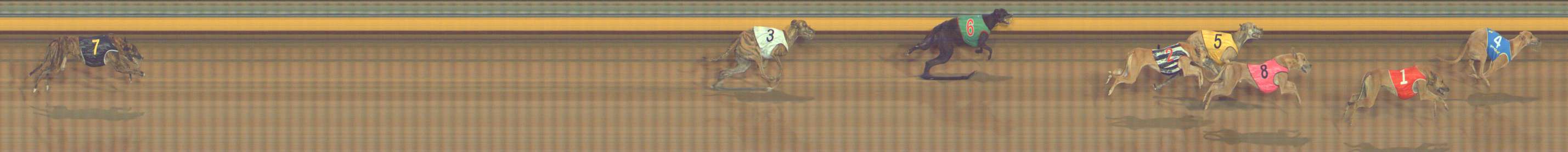 Photo finish for Bendigo Race 12