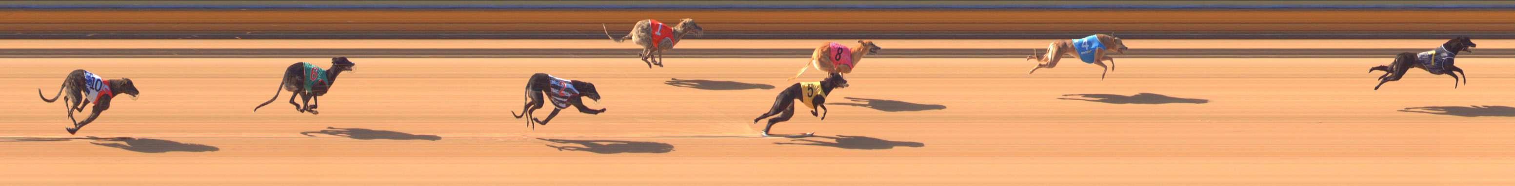 Photo finish for Bendigo Race 1