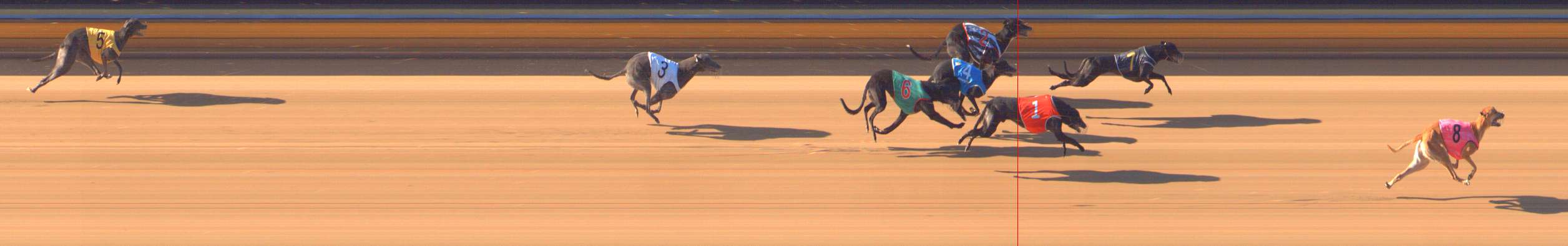 Photo finish for Bendigo Race 3