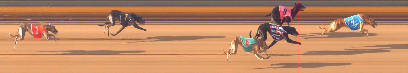Photo finish for Bendigo Race 5