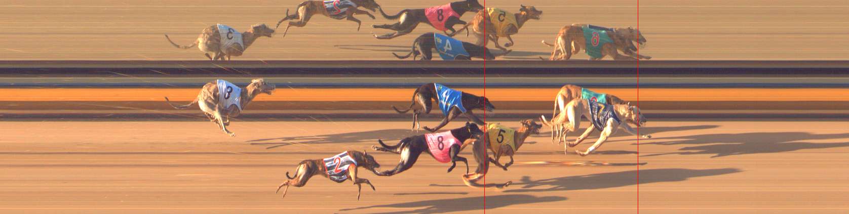 Photo finish for Bendigo Race 6
