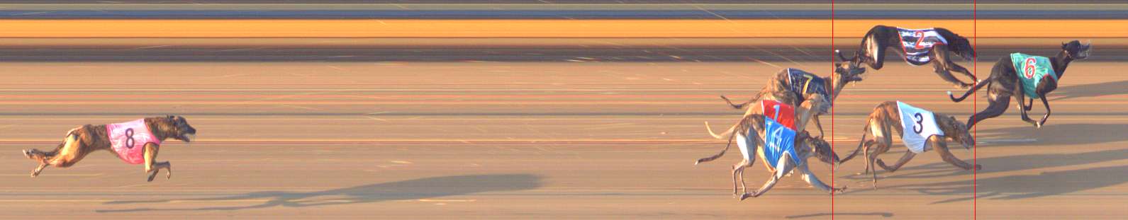 Photo finish for Bendigo Race 7