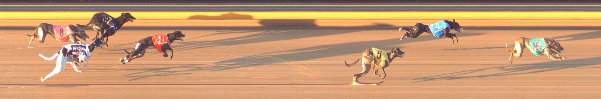Photo finish for Bendigo Race 8