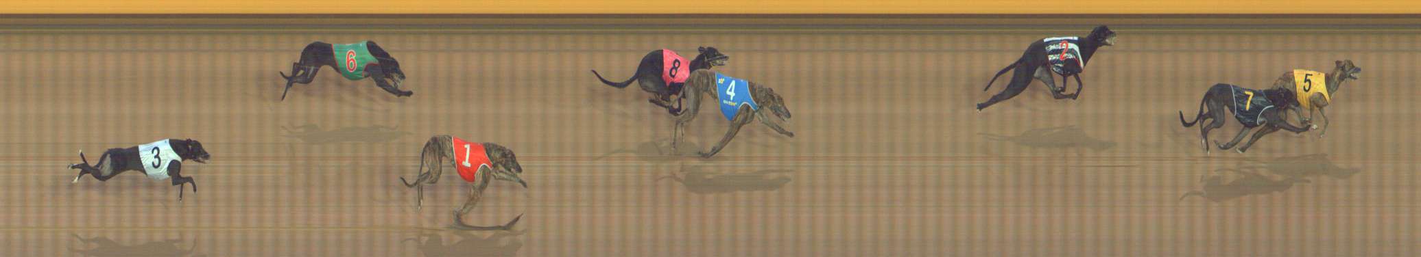 Photo finish for Bendigo Race 10