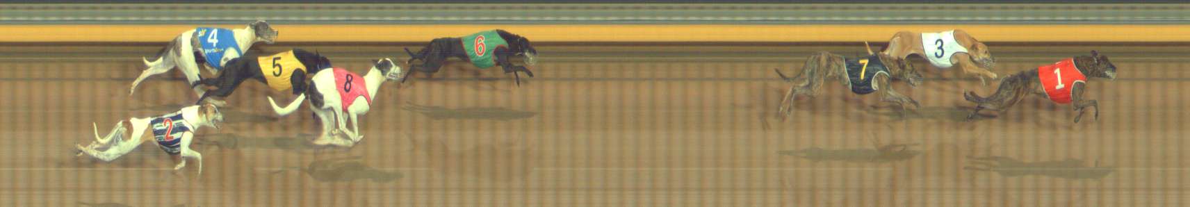 Photo finish for Bendigo Race 12