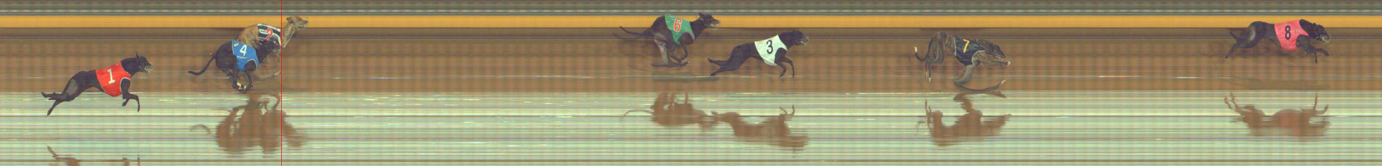 Photo finish for Bendigo Race 1