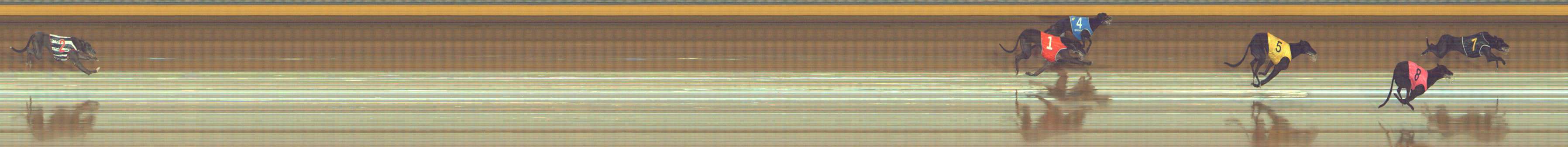 Photo finish for Bendigo Race 2