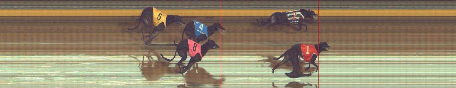 Photo finish for Bendigo Race 3