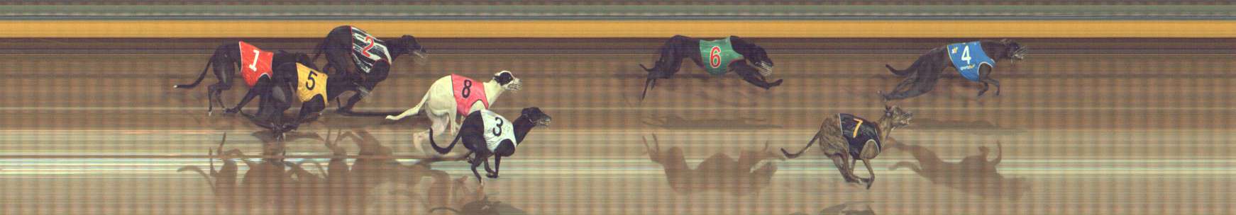 Photo finish for Bendigo Race 6