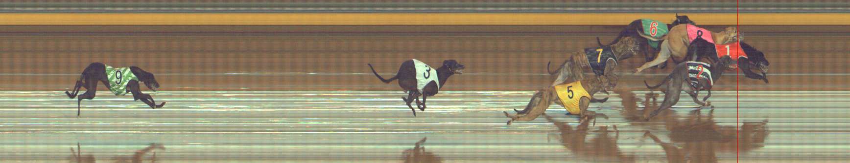 Photo finish for Bendigo Race 7