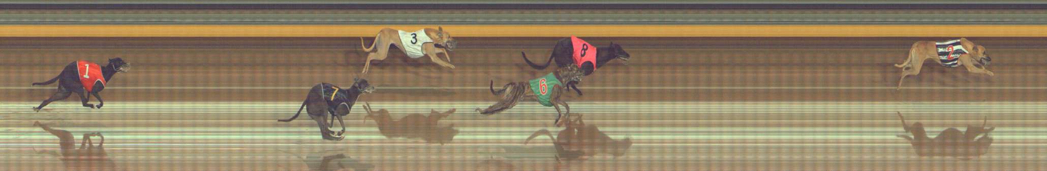 Photo finish for Bendigo Race 9